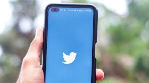 Bagaimana Caranya Media Sosial Twitter Mempengaruhi Keberadaan Opini Publik dan Preferensi Politik