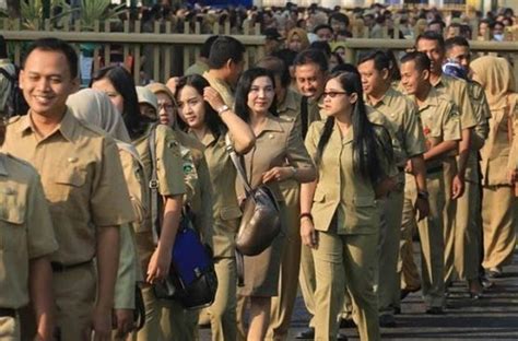 Manfaatkan Fitur! Trik Efisien Maksimalkan Semua Fitur Tryout CPNS di Tryout.id untuk SKD