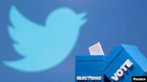 Capek Kalah di Polling Twitter? Ini Taktik Jitu Jasa Vote Bikin Pendapatmu Jadi yang Paling Didengar!