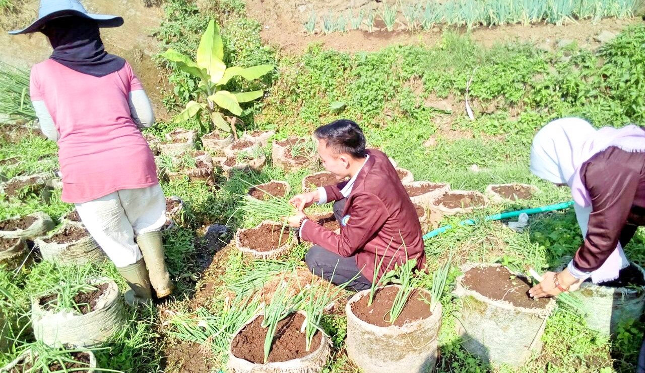 Revitalisasi Agribisnis dengan Internet of Things (IoT)